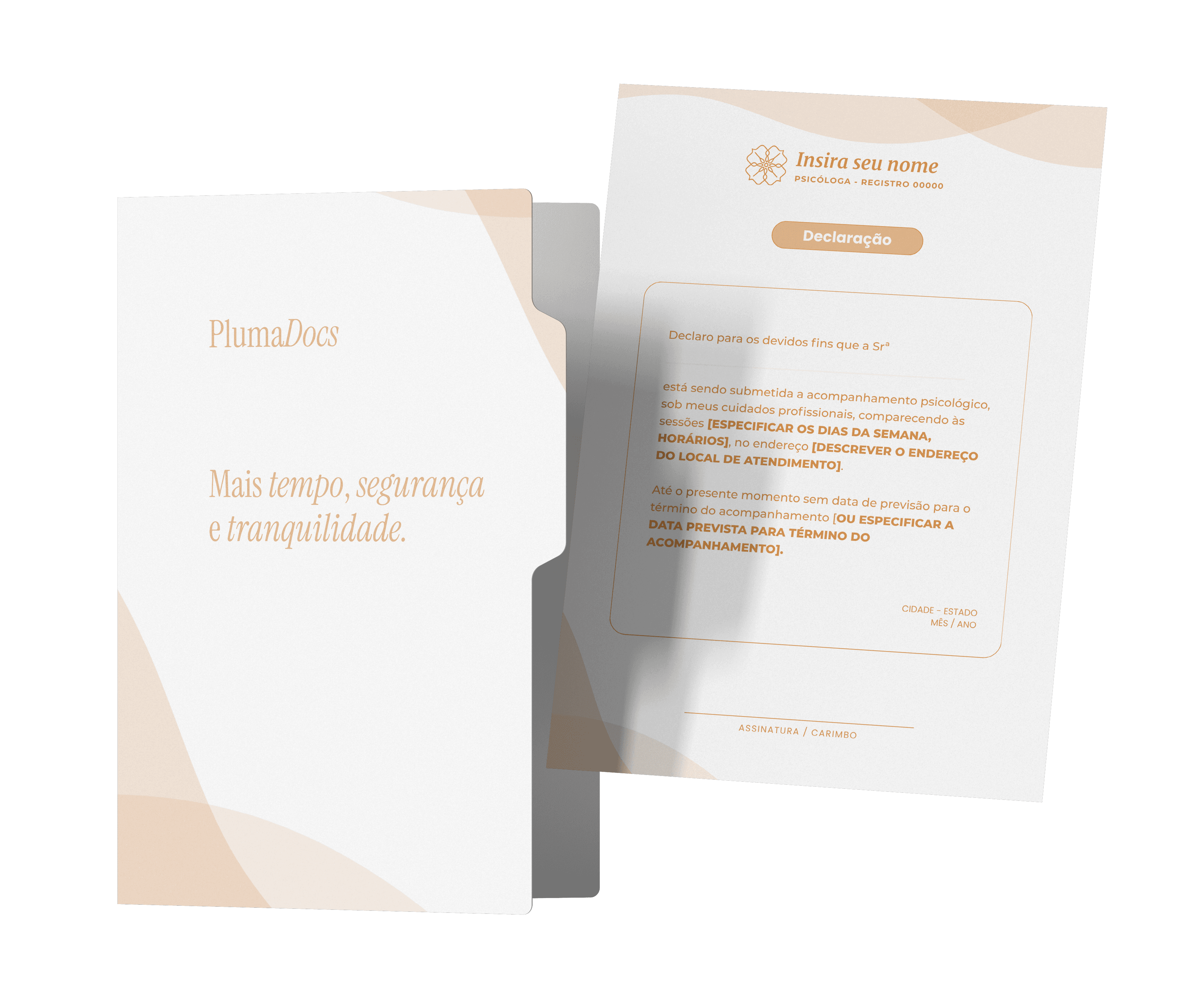 Pasta com documentos psicológicos